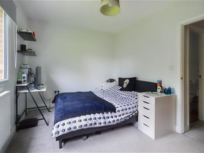 Picture 20